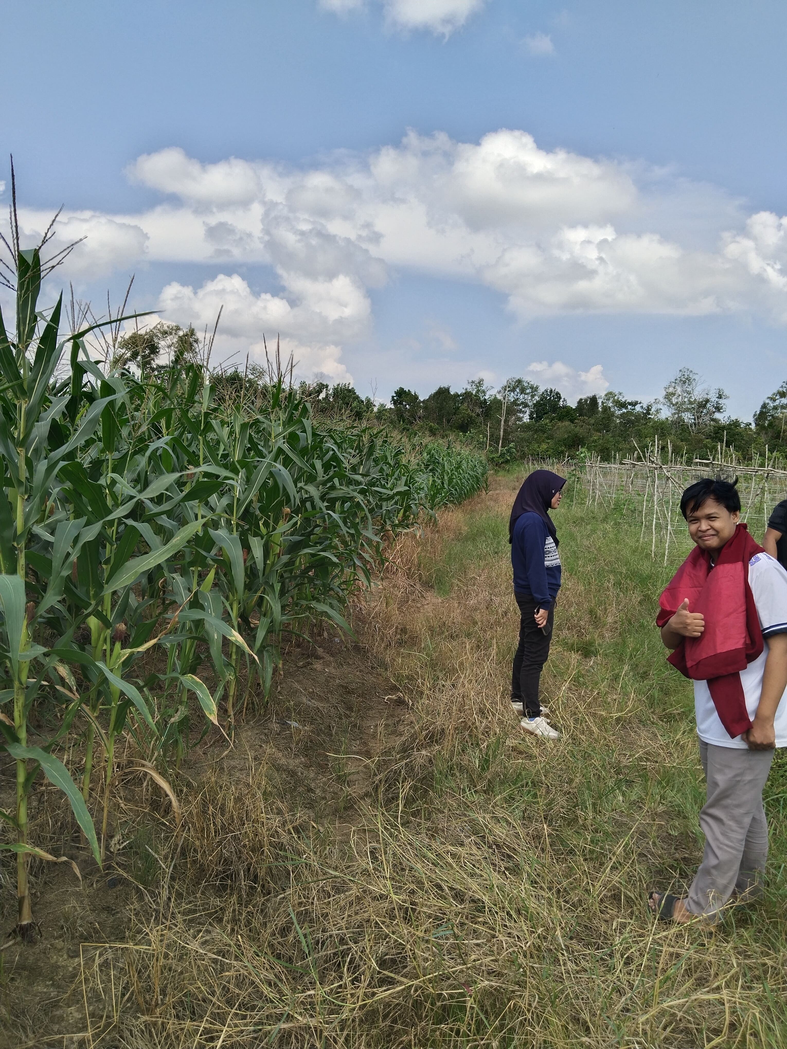 Dokumentasi Lahan bersama Tim