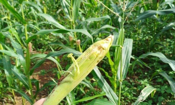 Dokumentasi Permasalahan